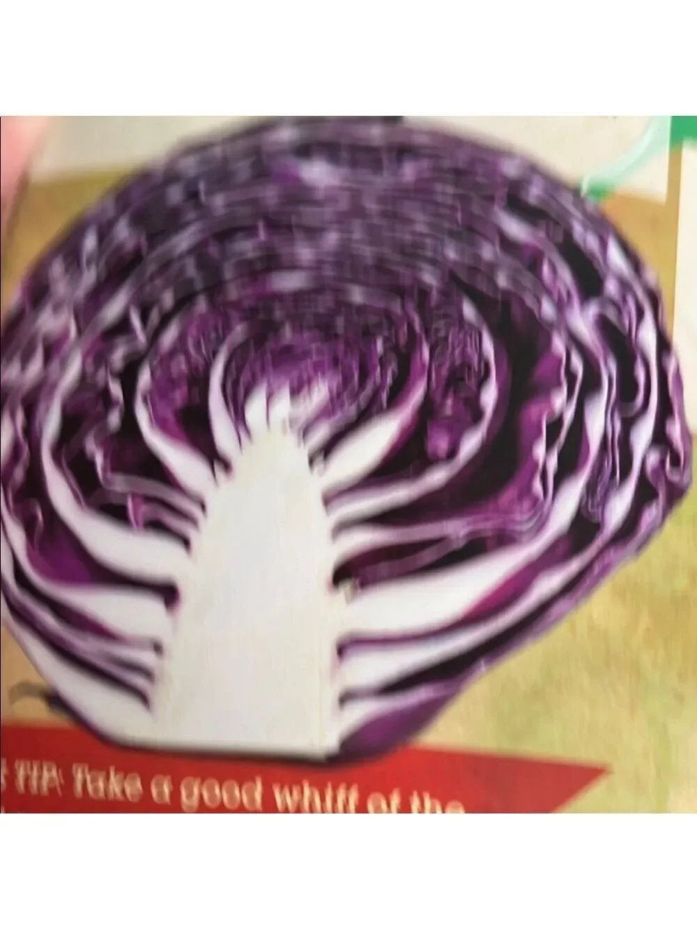 Gross Science Book by Scholastic